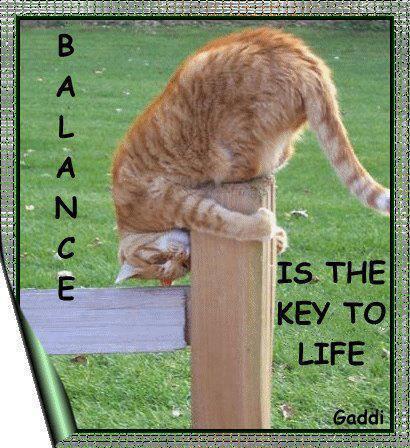 balance-is-the-key-to-life